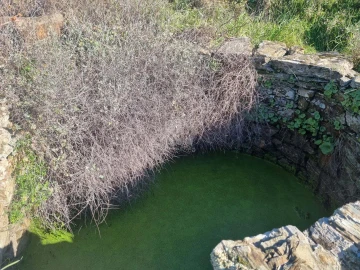 Terreno Agricola ou Rústico para Venda em Sarzedas