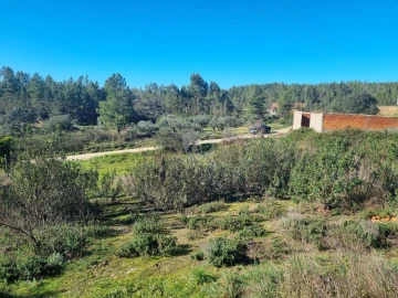 Terreno Agricola ou Rústico para Venda em Sarzedas