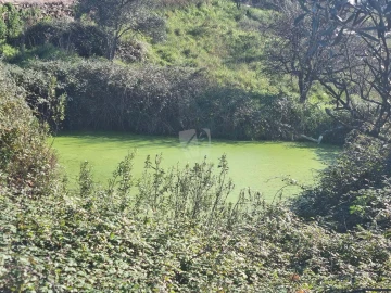 Terreno Agricola ou Rústico para Venda em Sarzedas