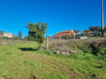 Terreno Agricola ou Rústico para Venda em Sarzedas