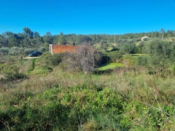 Terreno Agricola ou Rústico para Venda em Sarzedas