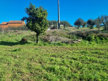 Terreno Agricola ou Rústico para Venda em Sarzedas