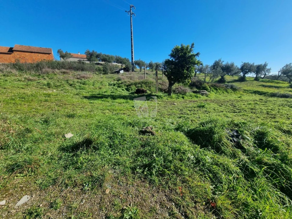 Terreno Agricola ou Rústico para Venda em Sarzedas Foto 1