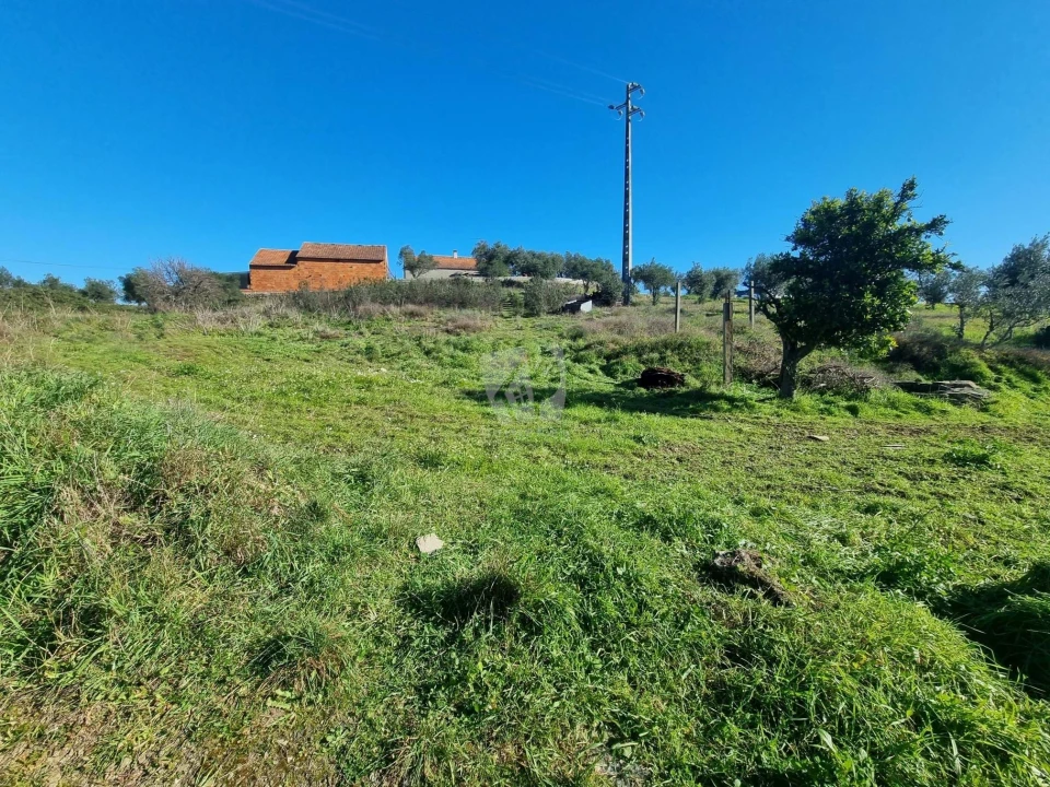Terreno Agricola ou Rústico para Venda em Sarzedas Foto 4