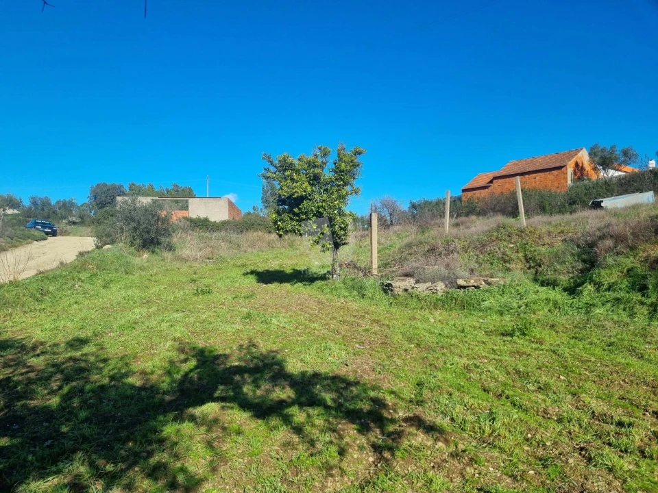 Terreno Agricola ou Rústico para Venda em Sarzedas Foto 8