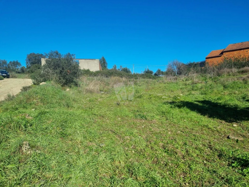Terreno Agricola ou Rústico para Venda em Sarzedas Foto 32