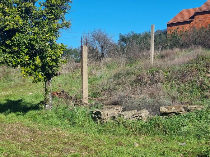 Terreno Agricola ou Rústico para Venda em Sarzedas Foto 9