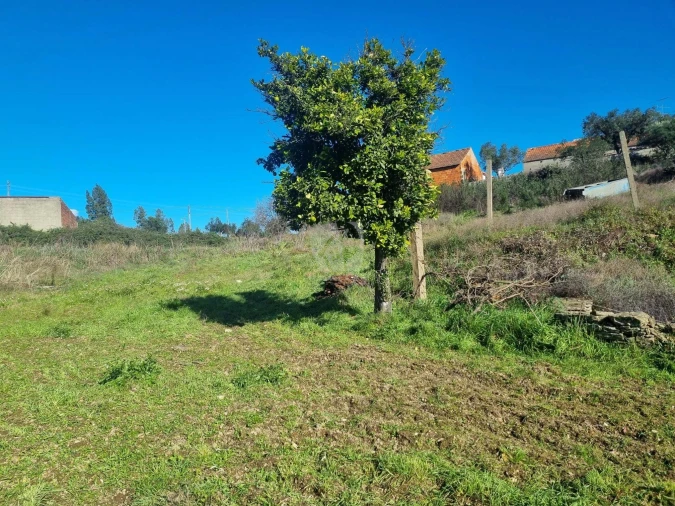 Terreno Agricola ou Rústico para Venda em Sarzedas Foto 33