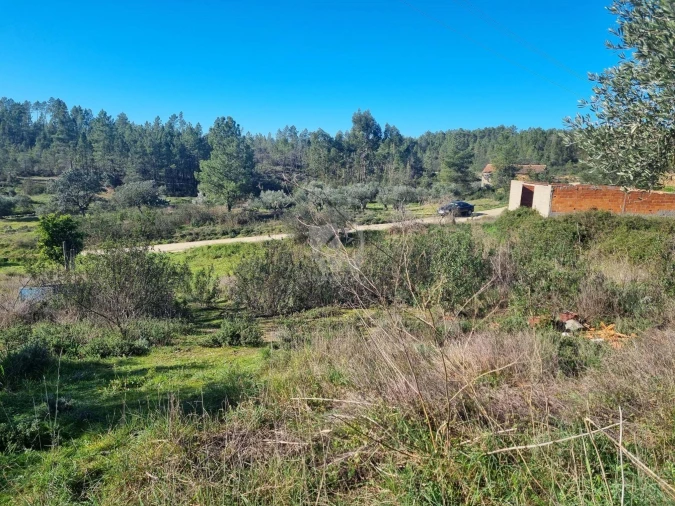 Terreno Agricola ou Rústico para Venda em Sarzedas Foto 21