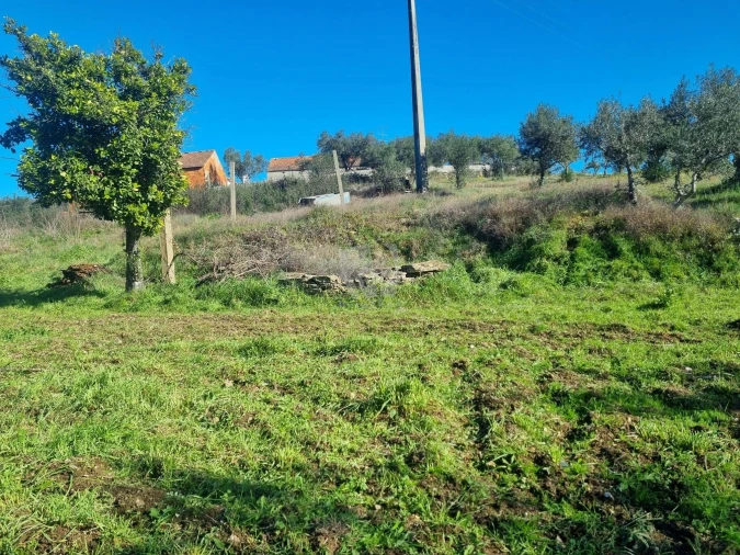 Terreno Agricola ou Rústico para Venda em Sarzedas Foto 36