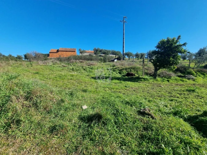 Terreno Agricola ou Rústico para Venda em Sarzedas Foto 4