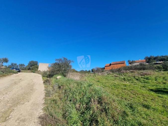 Terreno Agricola ou Rústico para Venda em Sarzedas Foto 6