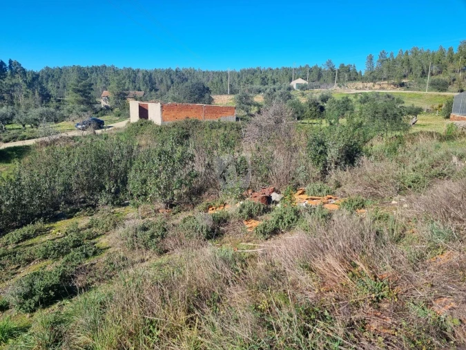 Terreno Agricola ou Rústico para Venda em Sarzedas Foto 17