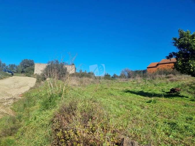 Terreno Agricola ou Rústico para Venda em Sarzedas Foto 7