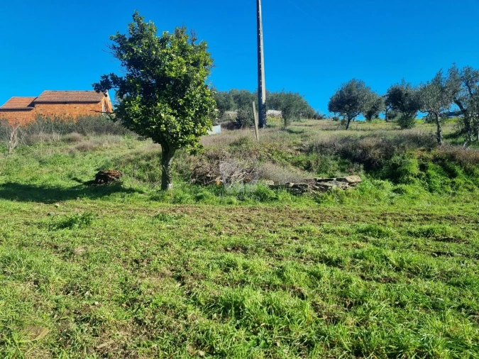 Terreno Agricola ou Rústico para Venda em Sarzedas Foto 31