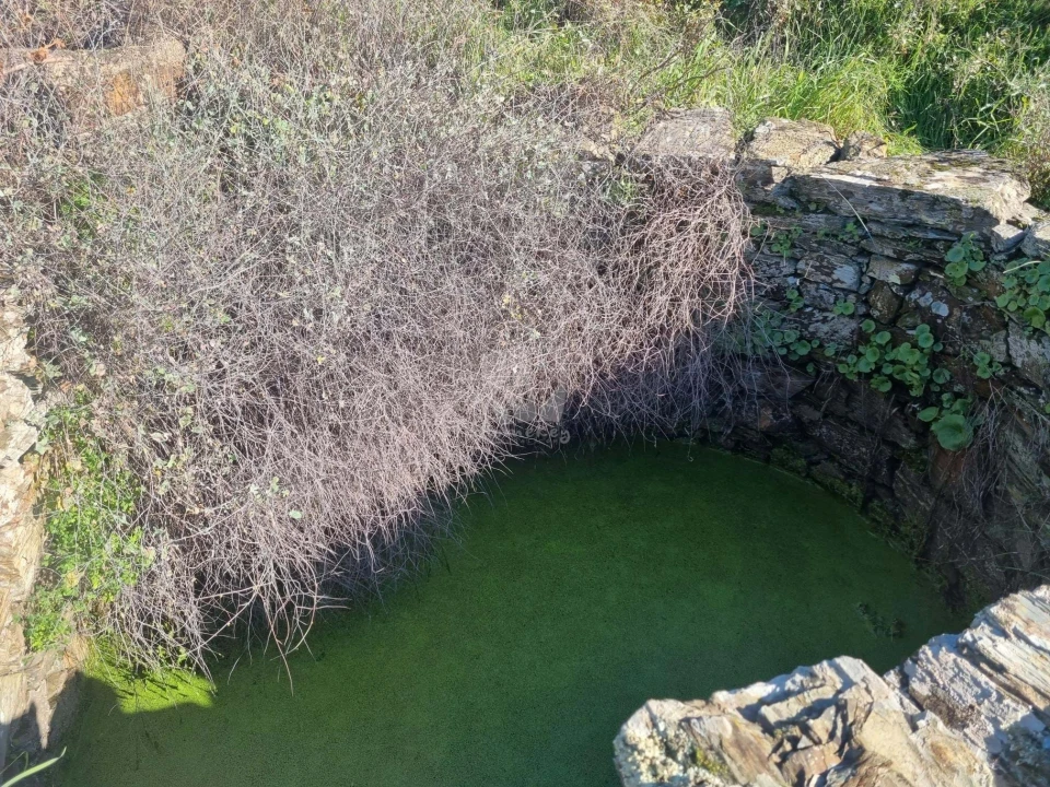 Terreno Agricola ou Rústico para Venda em Sarzedas Foto 15