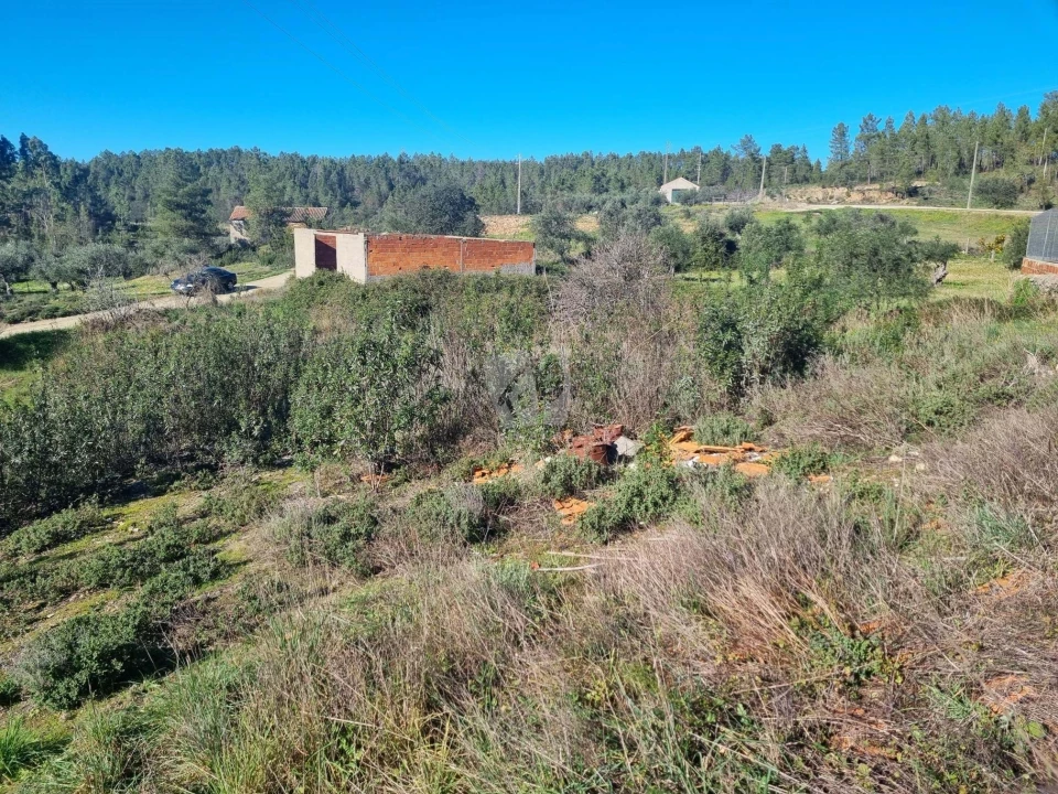 Terreno Agricola ou Rústico para Venda em Sarzedas Foto 17
