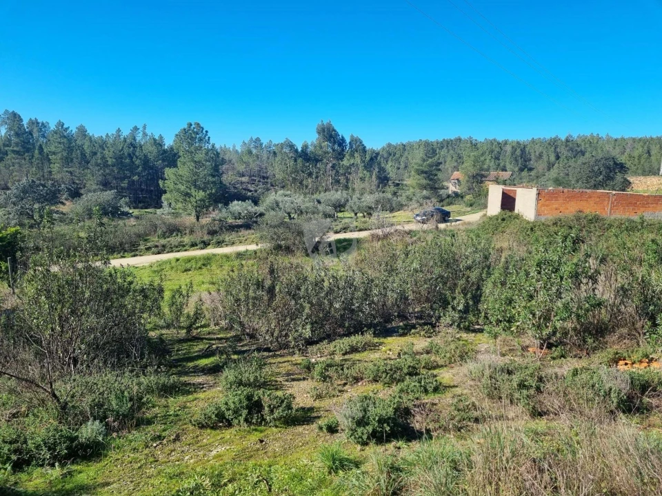 Terreno Agricola ou Rústico para Venda em Sarzedas Foto 18