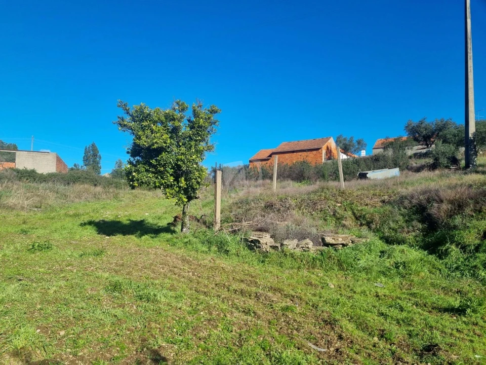 Terreno Agricola ou Rústico para Venda em Sarzedas Foto 14