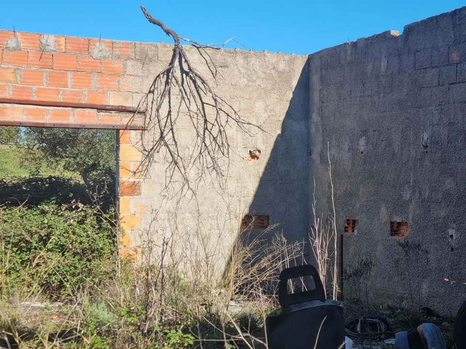 Terreno Agricola ou Rústico para Venda em Sarzedas Foto 26