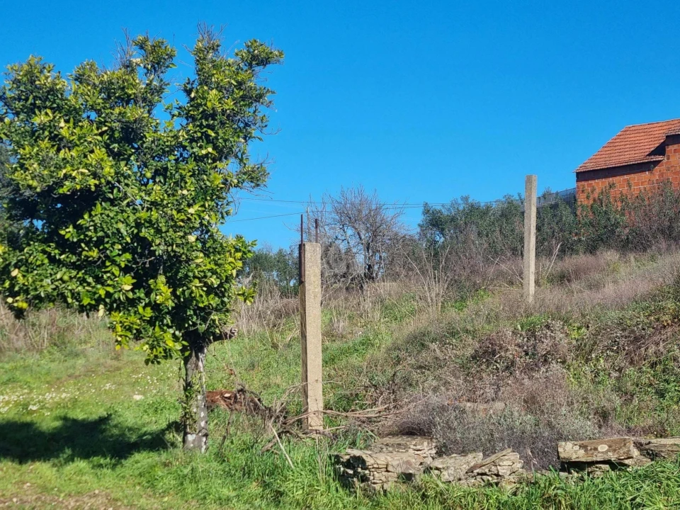 Terreno Agricola ou Rústico para Venda em Sarzedas Foto 10