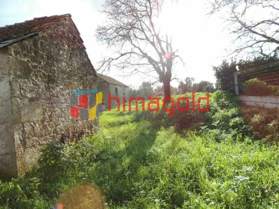 Quinta T3 para Venda em Arrimal e Mendiga Foto 6