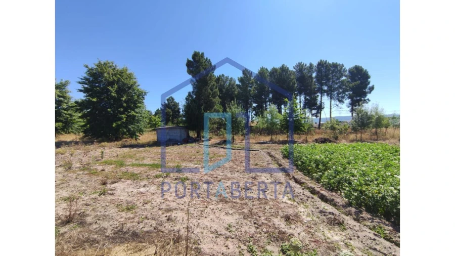 Terreno para Venda em Santa Maria Maior Foto 6