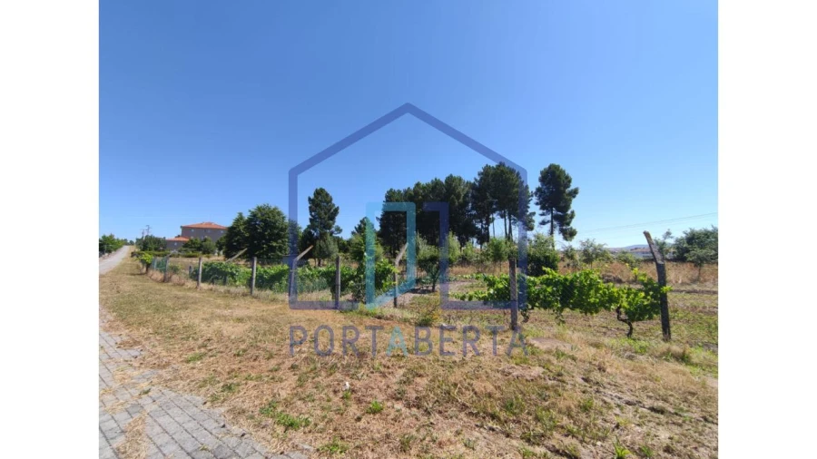 Terreno para Venda em Santa Maria Maior Foto 7