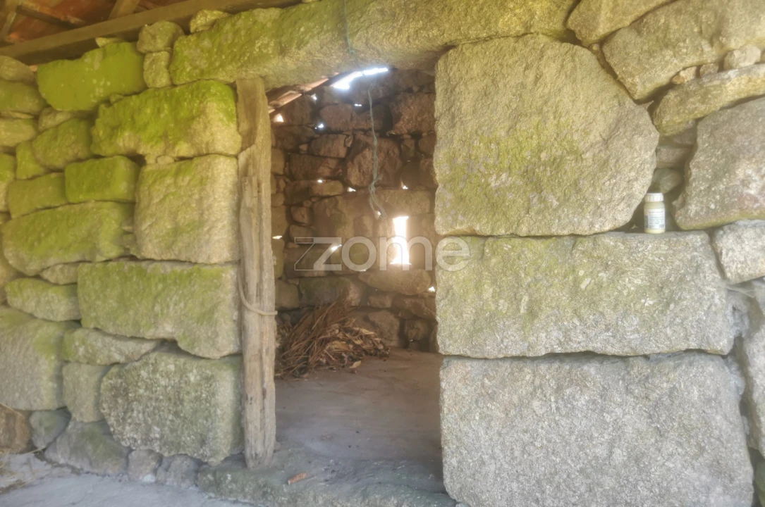 Quinta T10 para Venda em Canelas Foto 34