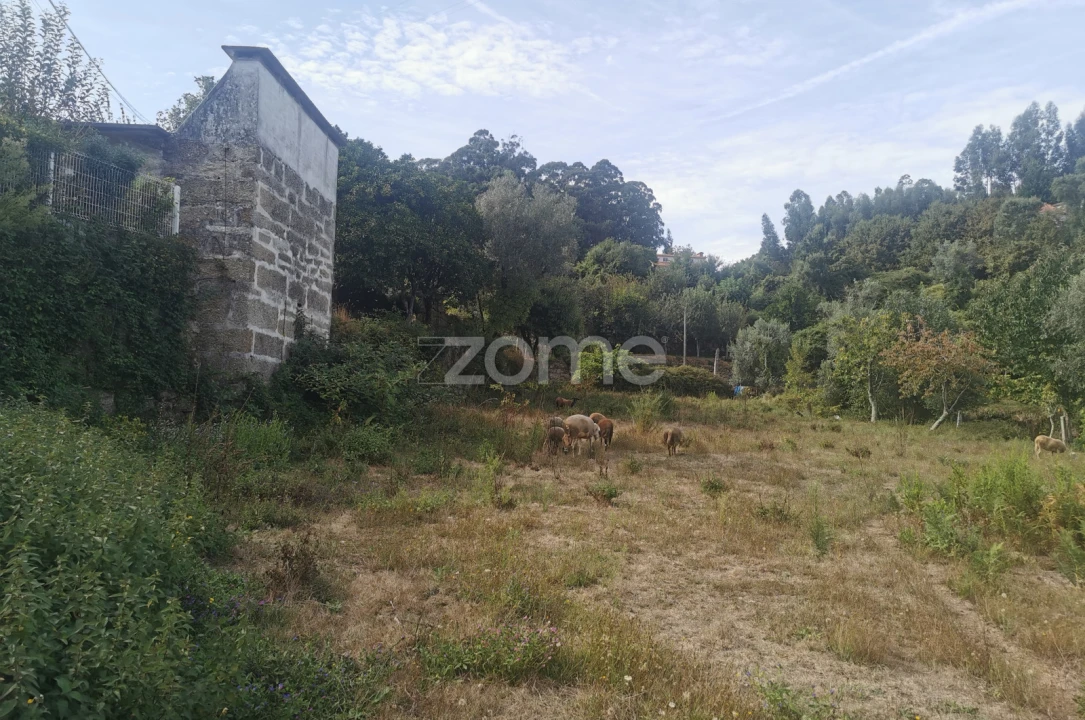 Quinta T10 para Venda em Canelas Foto 63