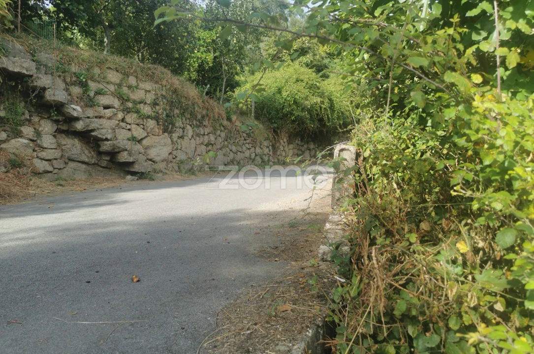 Quinta T10 para Venda em Canelas Foto 69