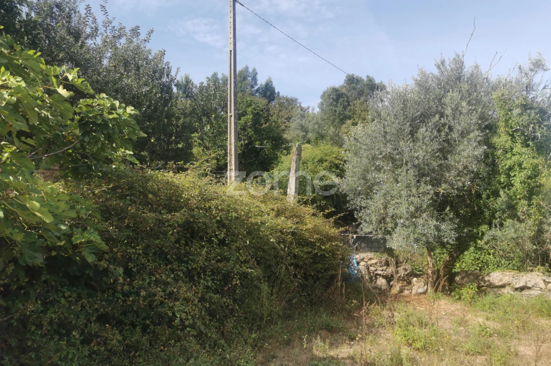 Quinta T10 para Venda em Canelas Foto 68