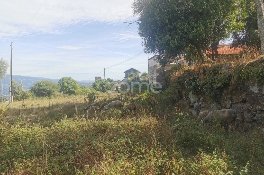 Quinta T10 para Venda em Canelas Foto 66