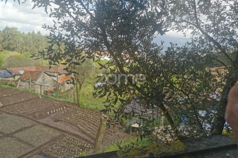 Quinta T10 para Venda em Canelas Foto 48