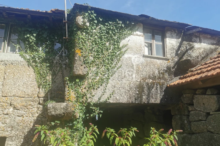 Quinta T10 para Venda em Canelas Foto 30