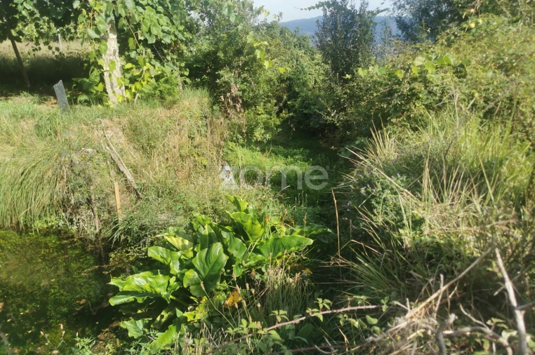 Quinta T10 para Venda em Canelas Foto 67