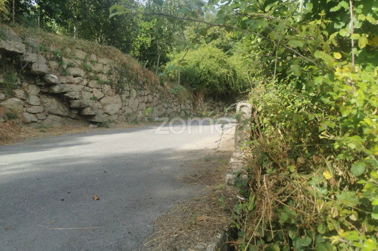 Quinta T10 para Venda em Canelas Foto 69