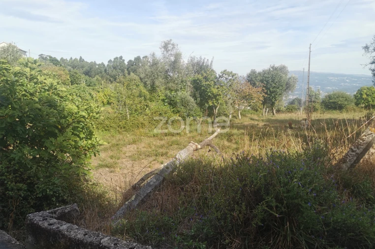 Quinta T10 para Venda em Canelas Foto 71