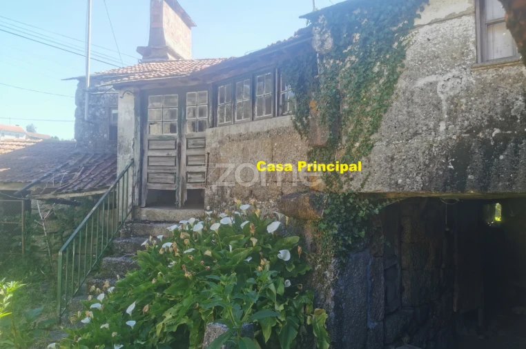 Quinta T10 para Venda em Canelas Foto 19