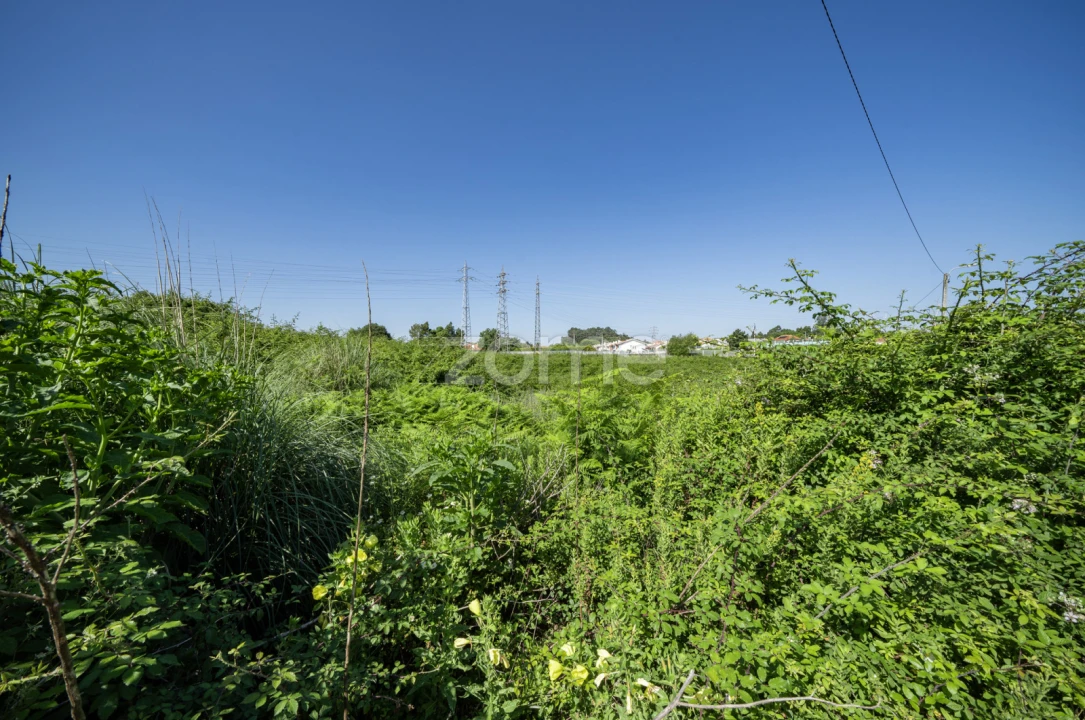 Terreno para Venda em Requião Foto 9