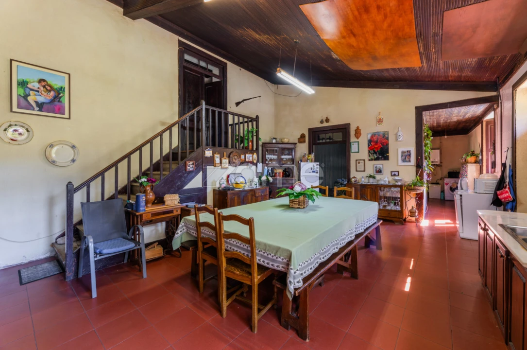 Quinta T16 para Venda em Mosteiro Foto 5