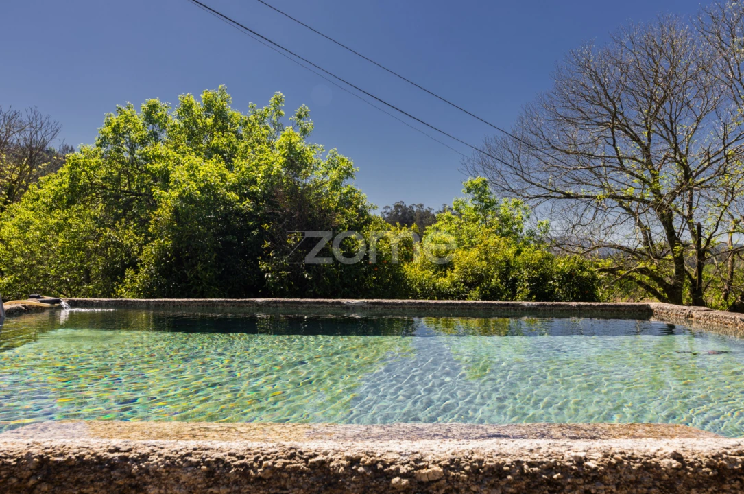 Quinta T16 para Venda em Mosteiro Foto 40