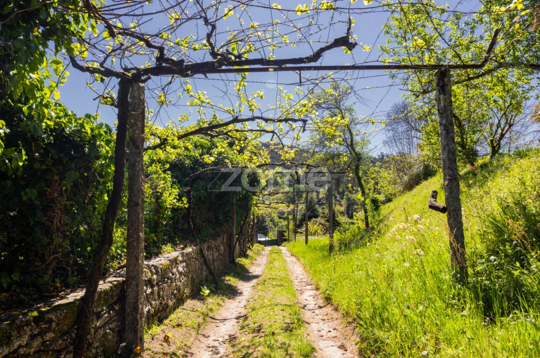 Quinta T16 para Venda em Mosteiro Foto 42