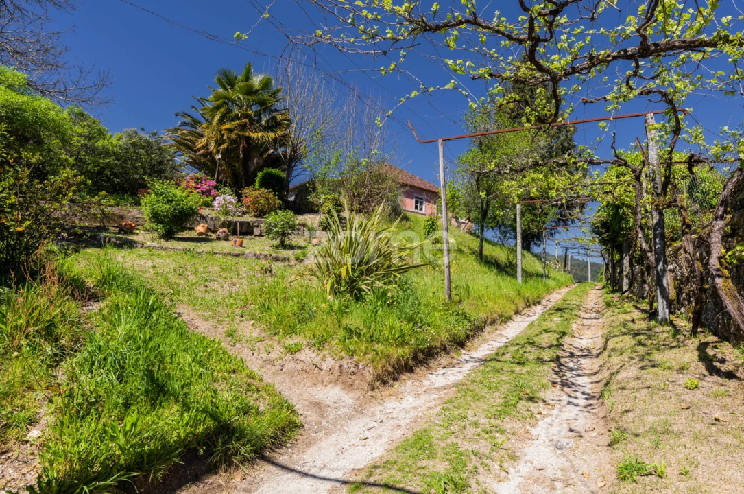 Quinta T16 para Venda em Mosteiro Foto 43