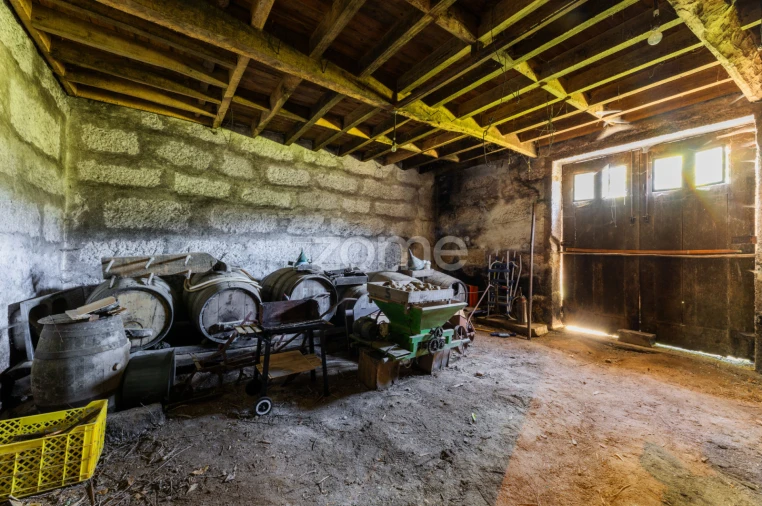 Quinta T16 para Venda em Mosteiro Foto 38