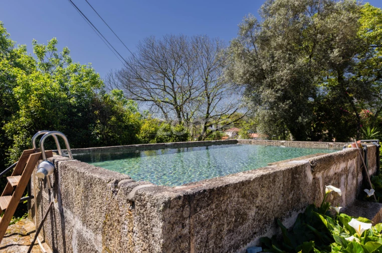 Quinta T16 para Venda em Mosteiro Foto 39