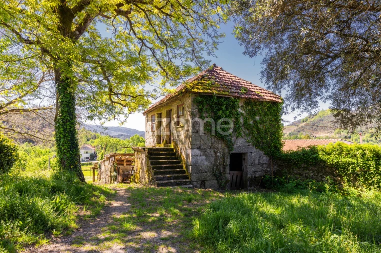 Quinta T16 para Venda em Mosteiro Foto 41