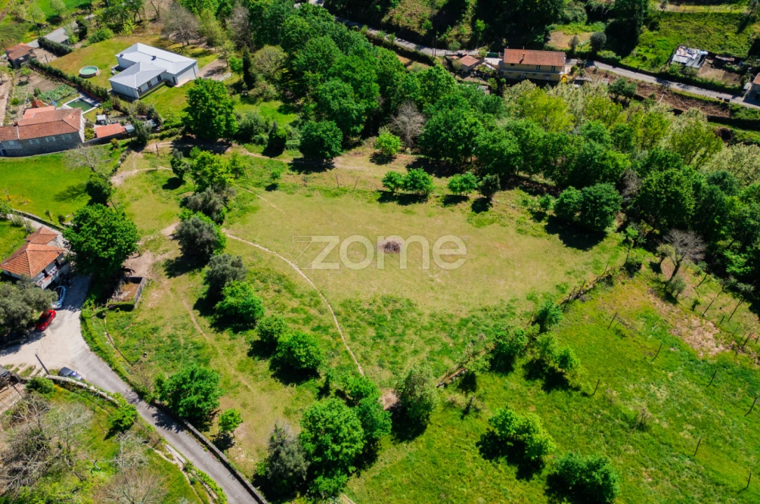 Quinta T16 para Venda em Mosteiro Foto 49