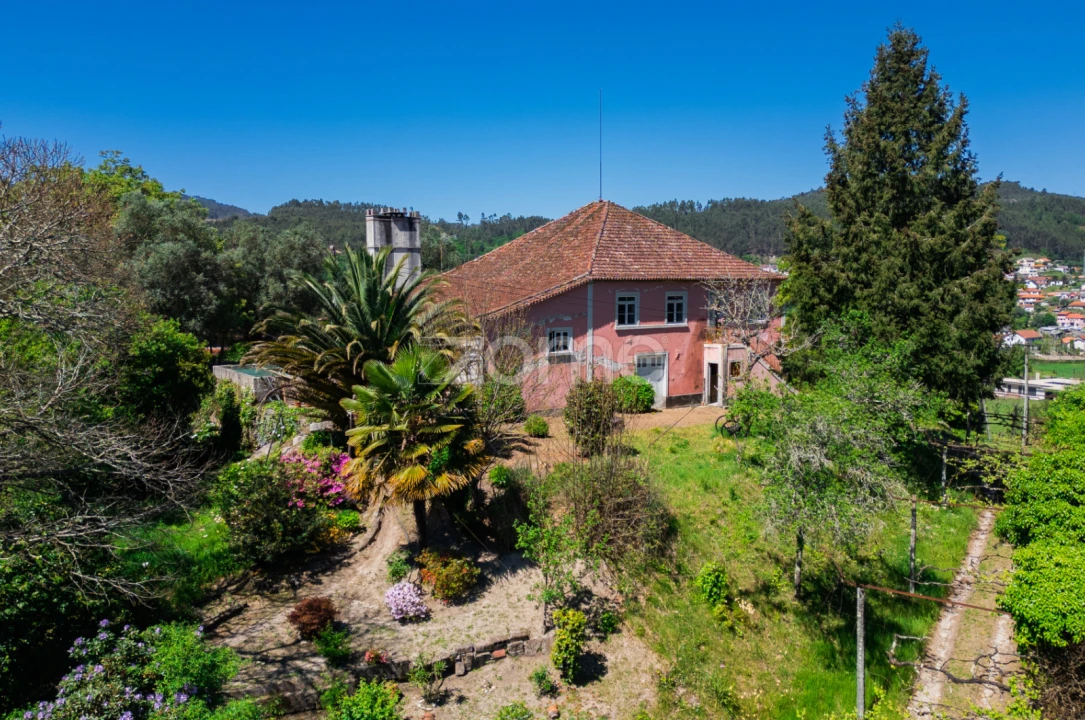 Quinta T16 para Venda em Mosteiro Foto 56