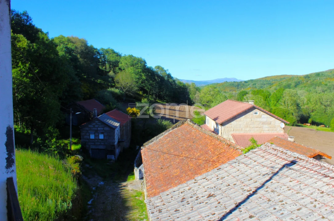 Moradia T3 para Venda em Paradela, Contim e Fiães Foto 19